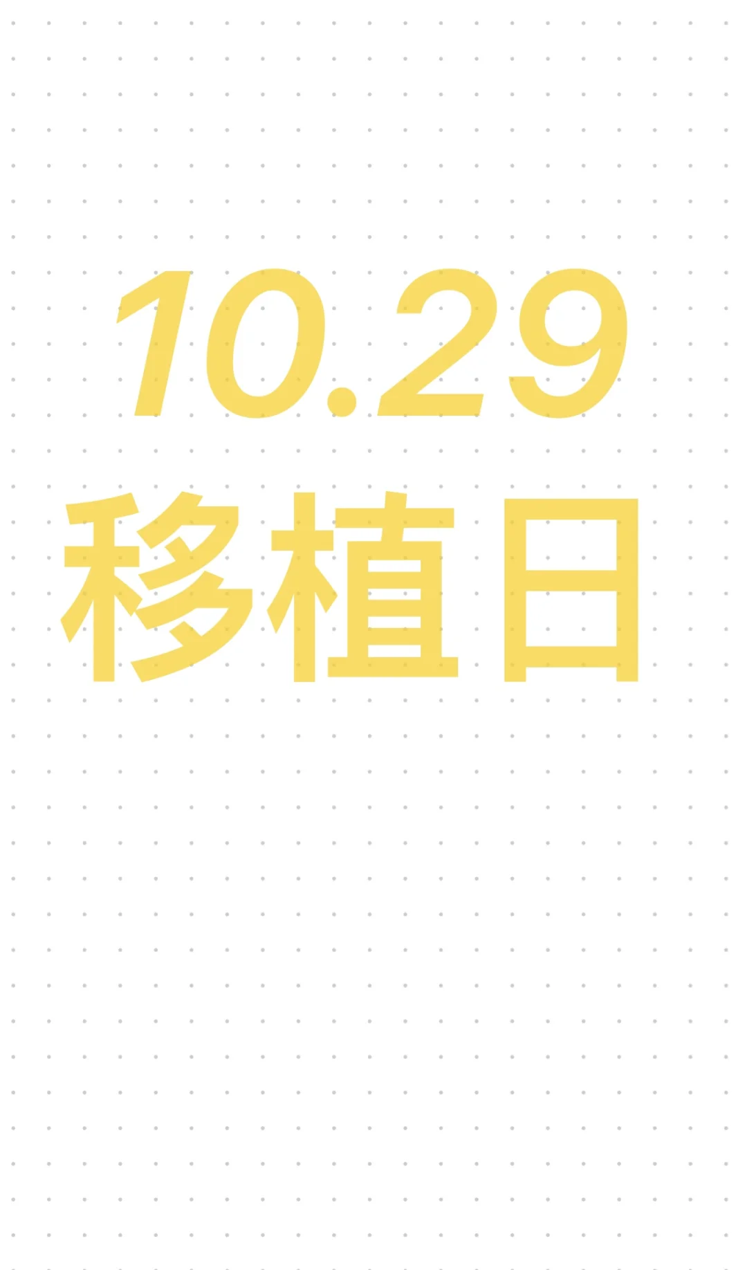 10.29 移植日—接小宝宝回家🏠,代孕费一般多少,代孕中心包生男孩