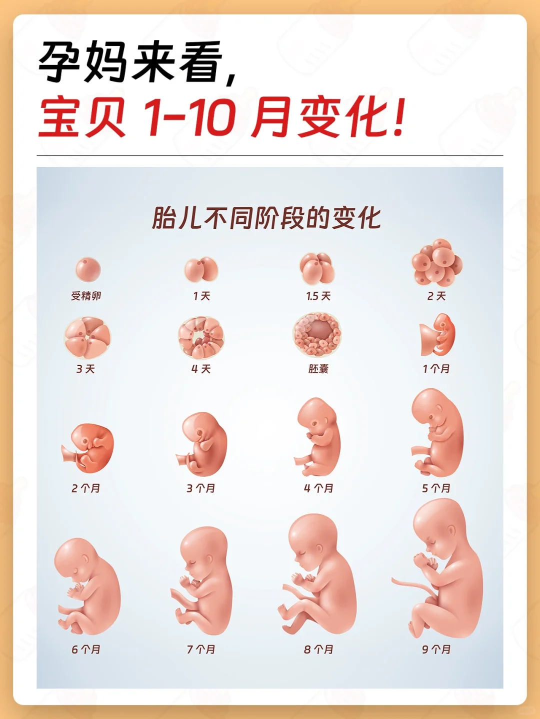 很奇妙🌟🌟宝宝1-10🈷️变化,代孕哪里成功率高啊-代孕辅助生殖中心成功率