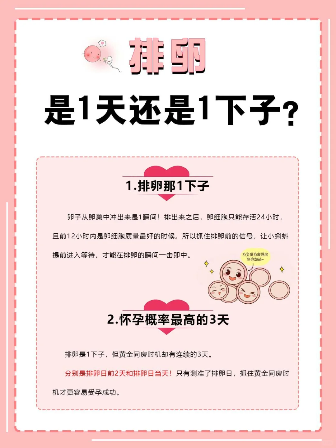 带你了解排卵是1下子吗⁉️,找个代孕要花多少钱-最贴心的代孕服务