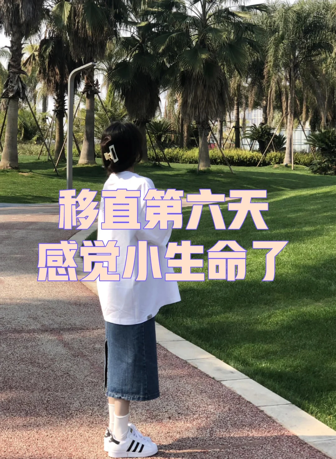 移直第六天，公园的碎碎念念🌺,三代代孕公司