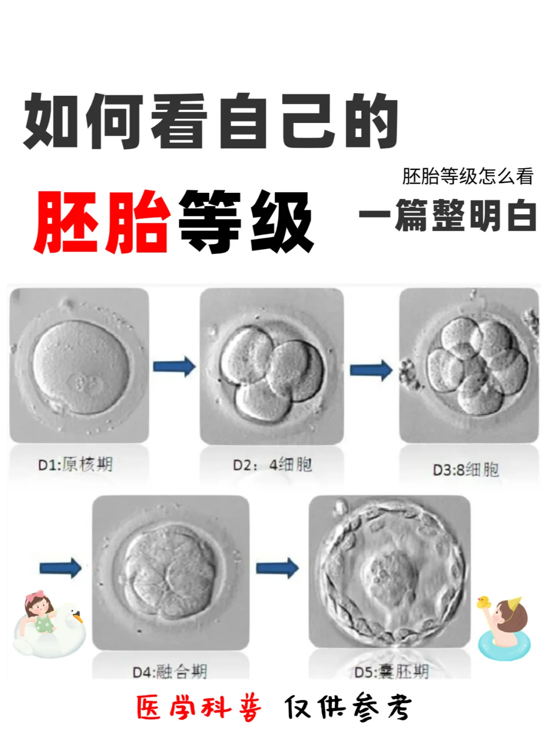 生殖科医生科普：👌如何看胚胎/囊胚等级,国内借卵试管可以吗,私人三代咨询