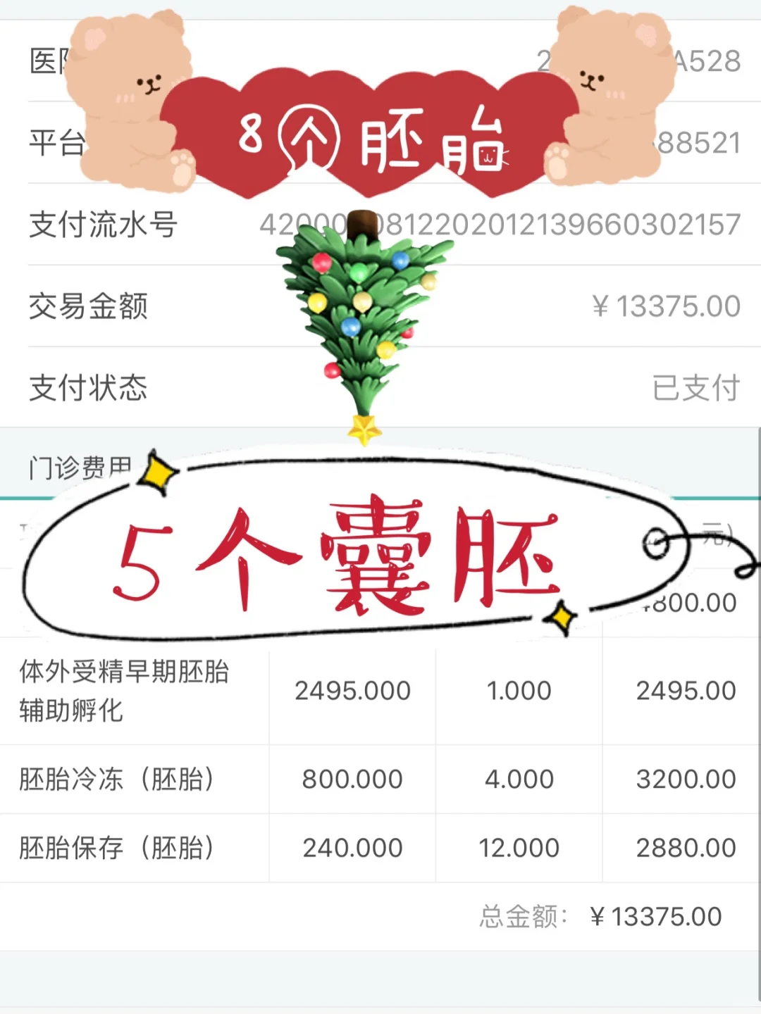 试管🔟囊胚结果➕费用,代孕户口咨询电话，代孕是否真实