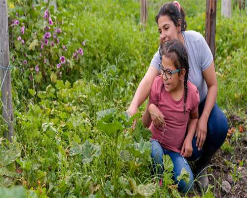 降调后多久做代怀代生好？代怀代生降调后多久促排卵？