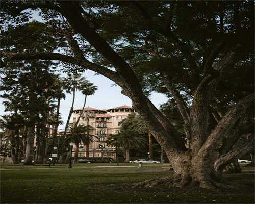 做代生条件是什么促排经期第几天去医院